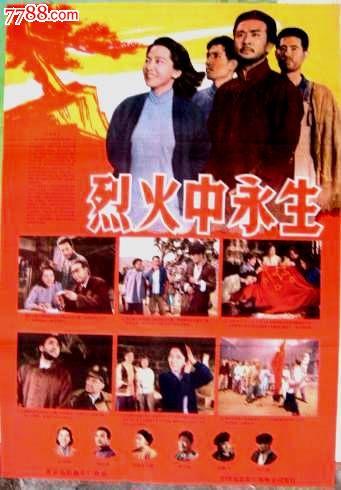 八戸大学环境科学学位证书